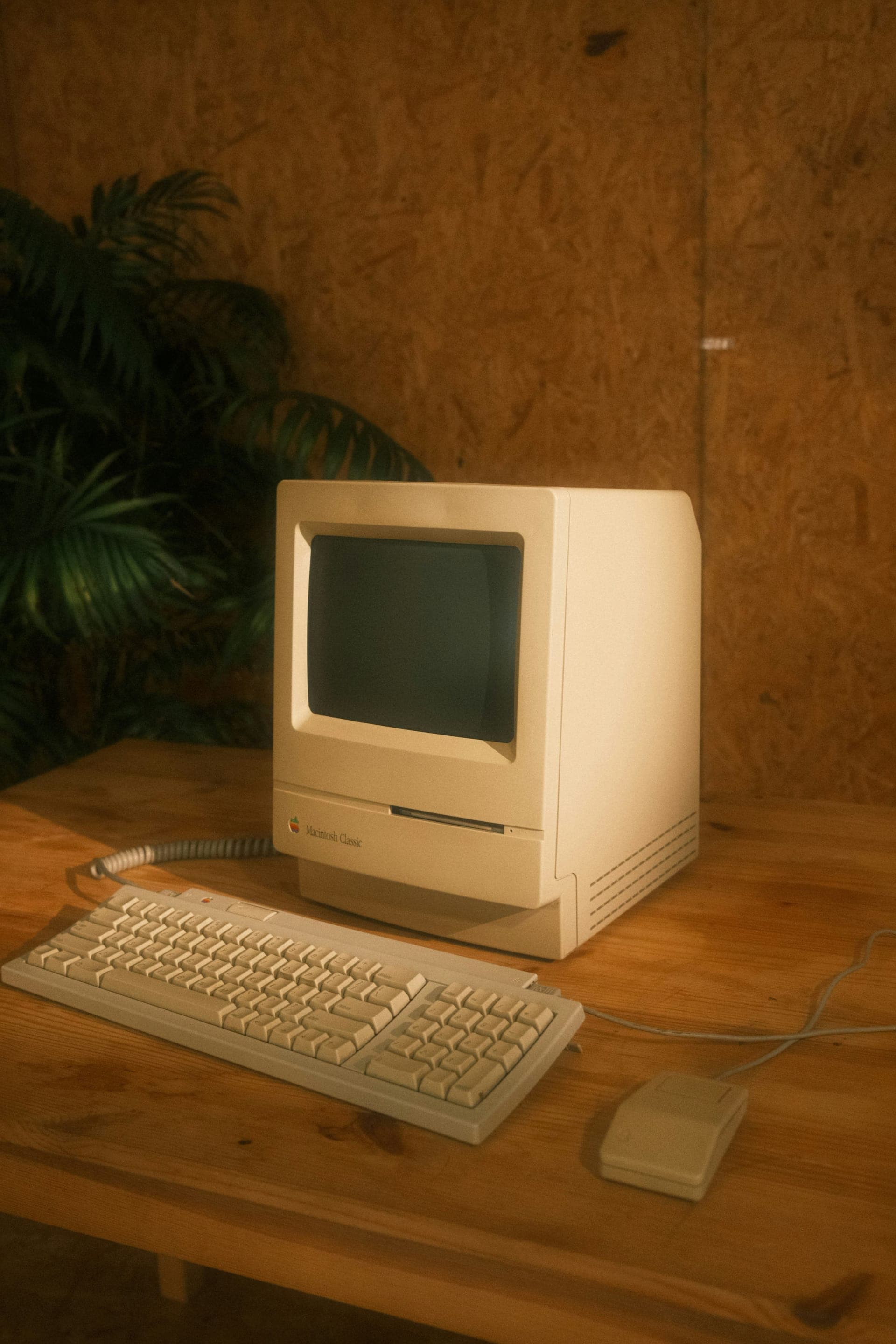 AI Operating Systems: The Next Wave of Everyday Computing